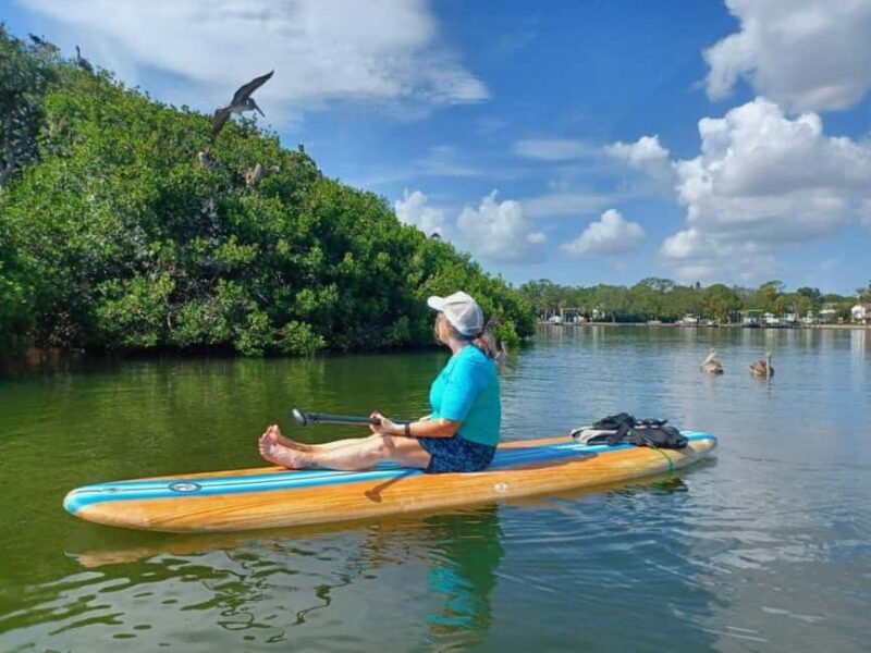 St. Petersburg: Paddle Board Tour with Wildlife Spotting - Final Thoughts
