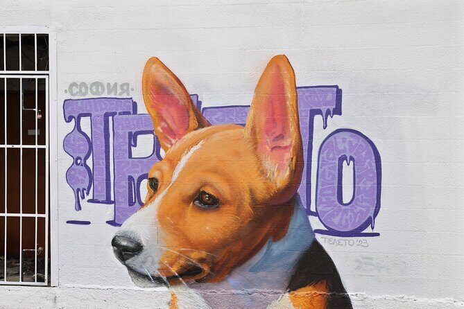 St. Petes Must-Do Murals Tour  The Premier Street Art Trolley - The Sum Up: Is It Worth Your Time?