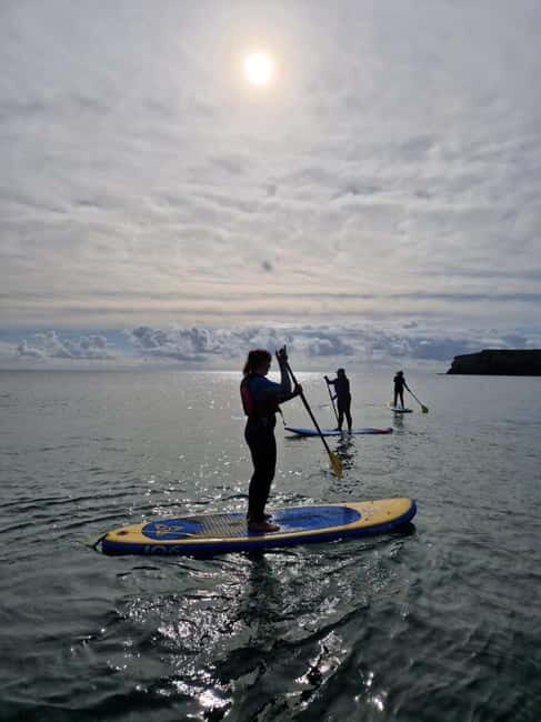 Stackpole Quay: Paddle Boarding Tour - Key Points