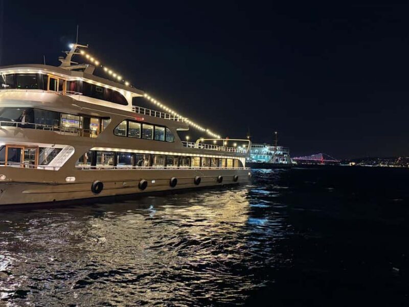 stanbul:Bosphorus Dinner Cruise & Soft and Alcohol Drinks - What We Loved and What Could Be Better