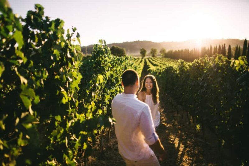 Stancija Collis: A Private Winery adventure in Rovinj - Key Points