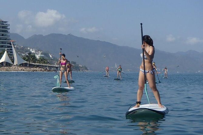 Stand-Up Paddle Board Lesson in Puerto Vallarta - Key Points