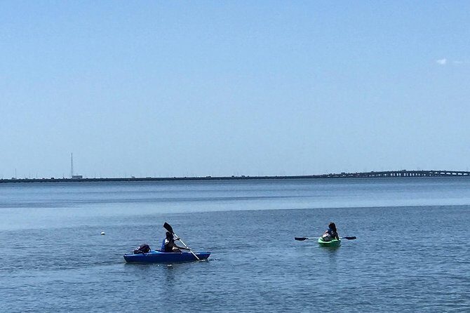 Stand Up Paddle Board Rental - A Closer Look at the Tampa Water Sport Rentals