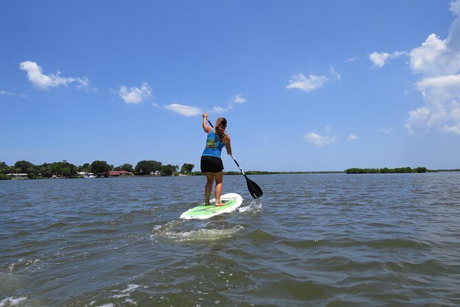 Stand Up Paddle Board Rental in Rose Bay - The Experience: What You Can Expect from the Paddleboard Rental