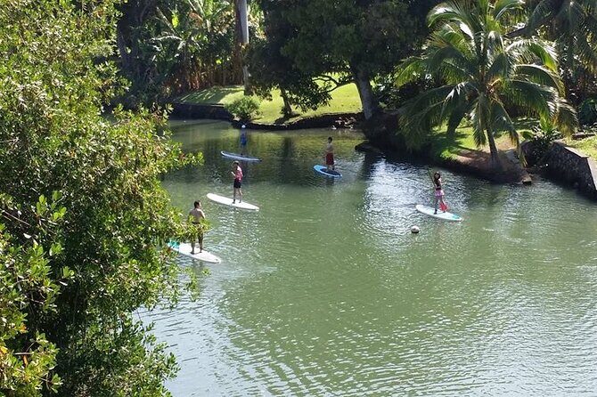 Stand Up Paddle Nature and Turtle tour-Guaranteed to see turtles - FAQ