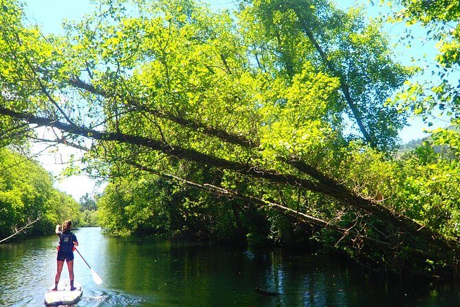 Stand Up Paddle Tour - Who Will Love This Experience?