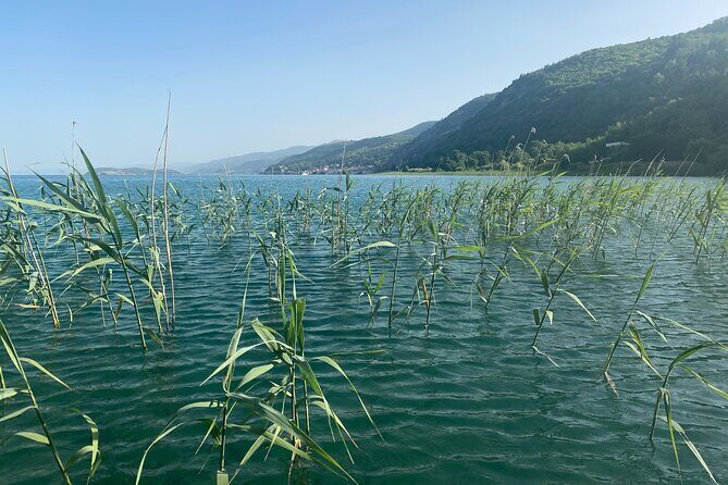 Stand-Up-Paddle Tour on Lake Ohrid - Weather and Cancellation Policy