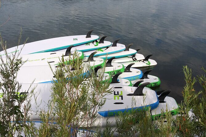 Stand Up Paddleboard Rentals - Practical Details & Booking Info