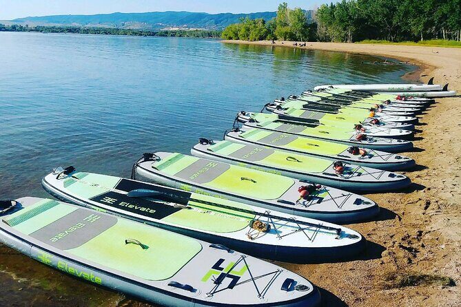 Stand Up Paddleboard Rentals - Who Would Love This?