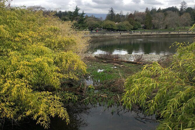 Stanley Park Bike Adventure with Lux Car Pick Up Affordable Easy - Notable Cons or Considerations