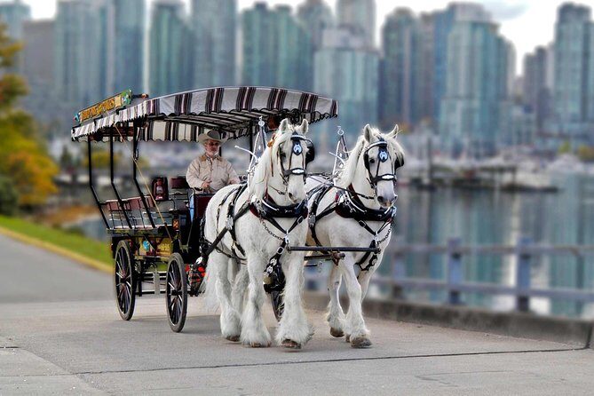 Stanley Park Horse-Drawn Tour - What We Like and What to Consider