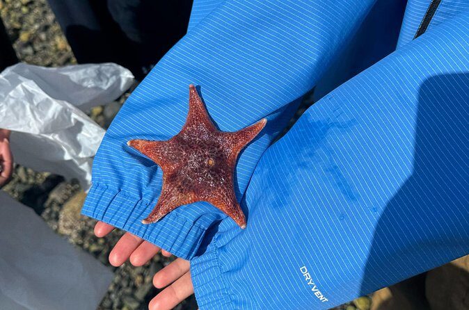Stanley Park Indigenous Walking Tour Salish Sea and Me - Final Thoughts