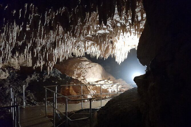 Starburst Cathedral deep inside Milky Way Glowworm Cave - Authentic Feedback from Visitors