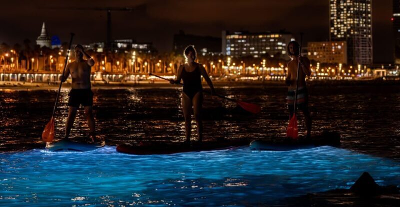 Starlight Paddlesurf during the night in Barcelona - What to Expect from the Night Paddlesurf Experience in Barcelona