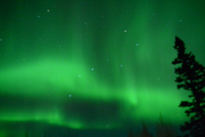 Starlight Snowshoe Adventure in Alaska - Who Would Enjoy This Tour?