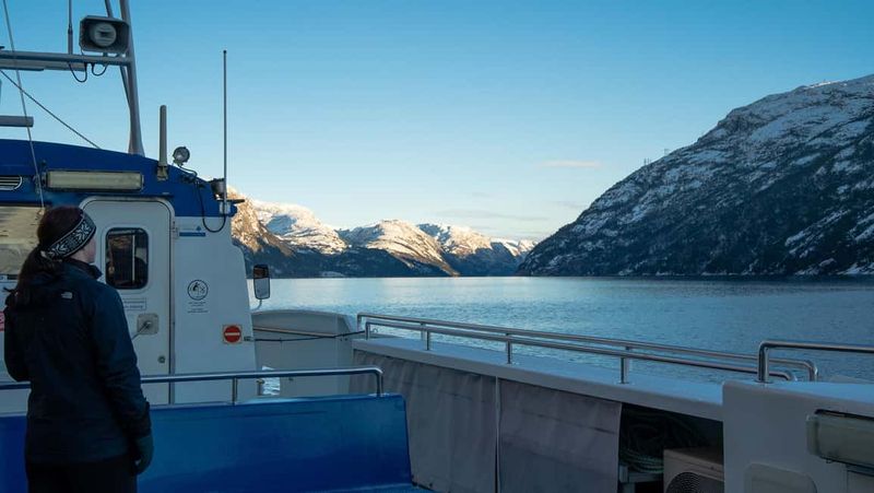 Stavanger: Electric Fjord Cruise to Lysefjord & Preikestolen - Wildlife moments: seals, goats, and an orca sighting that happens sometimes