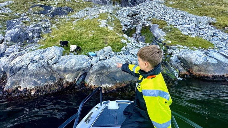 Stavanger: Guided Lysefjord Cruise to Pulpit Rock - The Experience in Detail