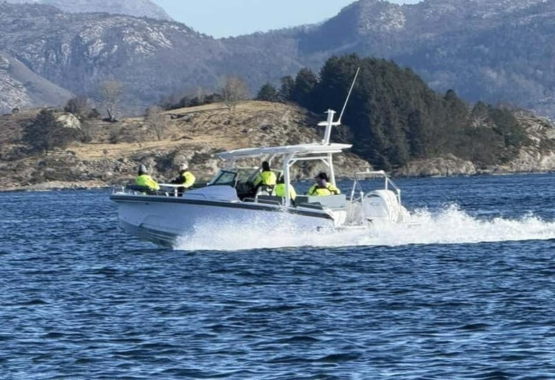 Stavanger: Guided Lysefjord Cruise to Pulpit Rock - Who Should Consider This Tour?