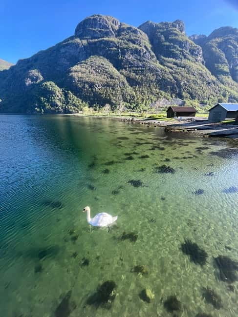 Stavanger: Månafossen Waterfall and Via Ferrata Bouldering - Why This Tour Might Be Perfect For You