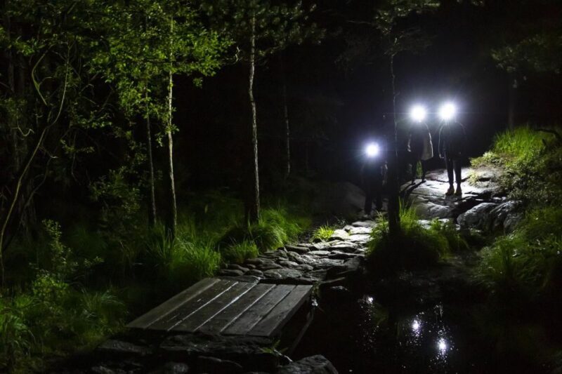 Stavanger: Preikestolen Sunrise Hike + Breakfast Buffet - Final Thoughts: Who Is This Tour Perfect For?