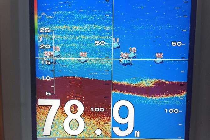 Stavanger Private Safari and Fishings - Food and Drinks: What’s Included