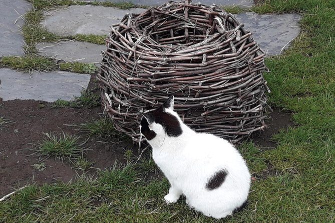 Steam Trains and Castles with qualified Isle of Man Tour Guide - What Travelers Say