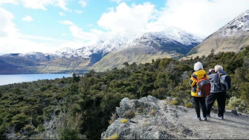 Stevensons Island 2-Hour Cruise and Nature Walk - FAQ