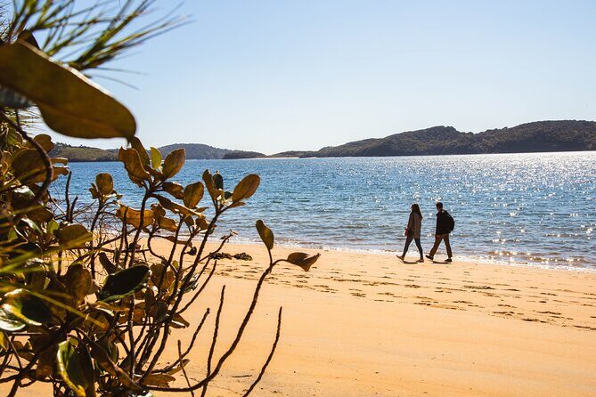 Stewart Island Fly Explore Fly ex Queenstown by Glenorchy Air - Who’s This Tour Best For?