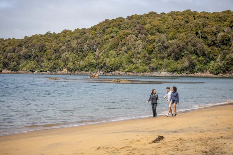 Stewart Island: Ulva Island Guided Wilderness Walk & Cruise - Key Points