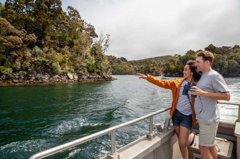 Stewart Island: Ulva Island Guided Wilderness Walk & Cruise - The Details of the Experience
