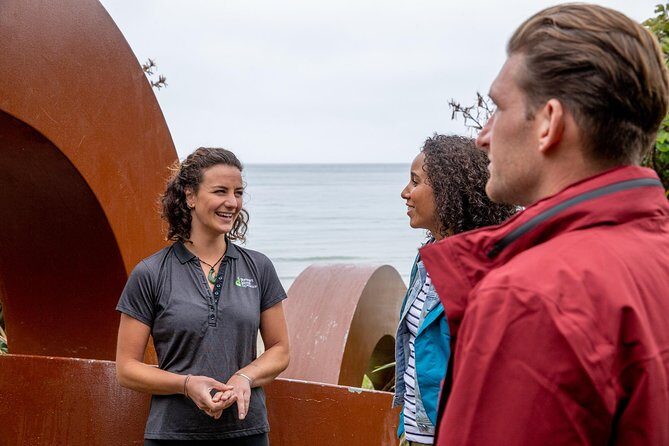 Stewart Island: Village and Bays Tour - What’s Included and How It Works