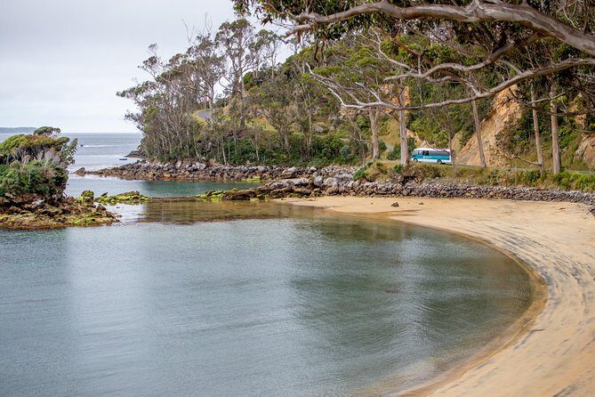 Stewart Island: Village and Bays Tour - The Sum Up