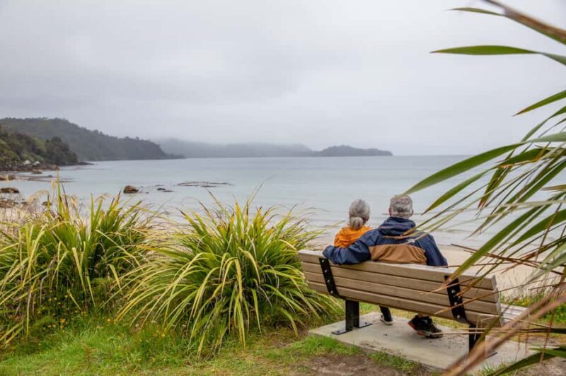 Stewart Island: Village and Bays Tour - Key Points