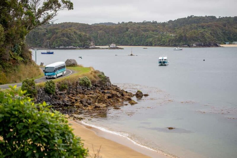 Stewart Island: Village and Bays Tour - An In-Depth Look at the Stewart Island Village and Bays Tour