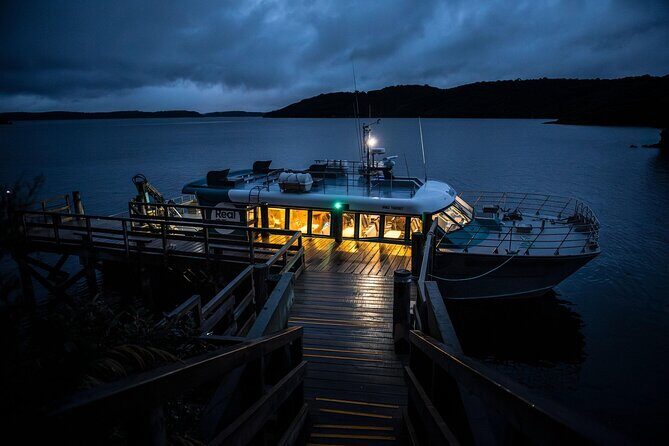 Stewart Island Wild Kiwi Experiences - Final Thoughts