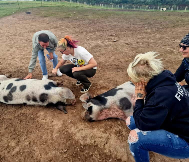 Stirling: Harmony Fields Animal Sanctuary Guided Tour - FAQ