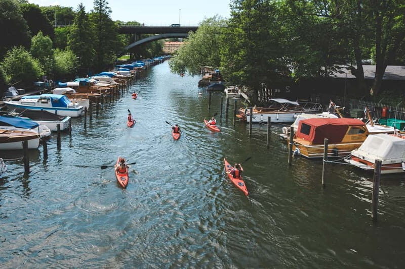 Stockholm: 2-Hour Guided Kayak Tour in City Center - The Experience and the Guides