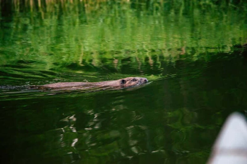 Stockholm: Archipelago Family-Friendly Private Kayaking Tour - Key Points