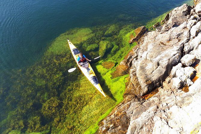 Stockholm Archipelago Kayaking Day Tour - A Closer Look at the Stockholm Archipelago Kayaking Tour