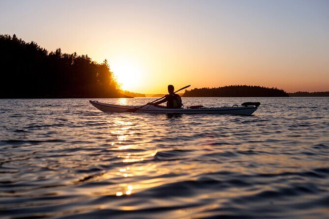 Stockholm Archipelago Sunset Kayaking and Fika tour - Key Points