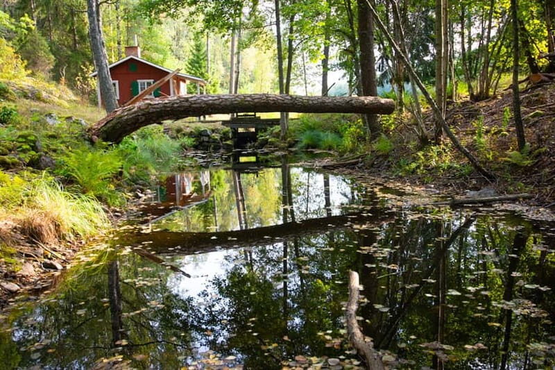 Stockholm: Canoe and Kayak Rental in Sörmland - What This Tour Is All About