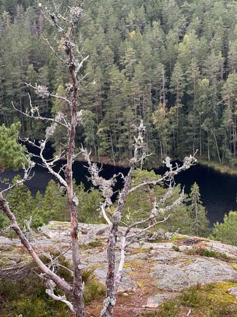 Stockholm: Canoe and Kayak Rental in Sörmland - What’s Included and What’s Not