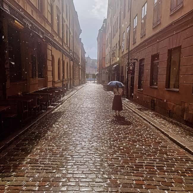 Stockholm City: Visit Icebar and Vasamuseum - What’s Included and What to Expect