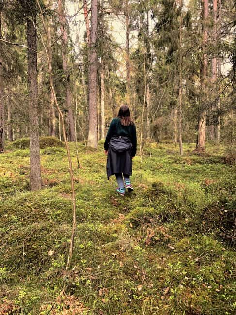 Stockholm: Dog Walk in Nature Reserve with Swedish Fika - Who Is This Tour Best For?