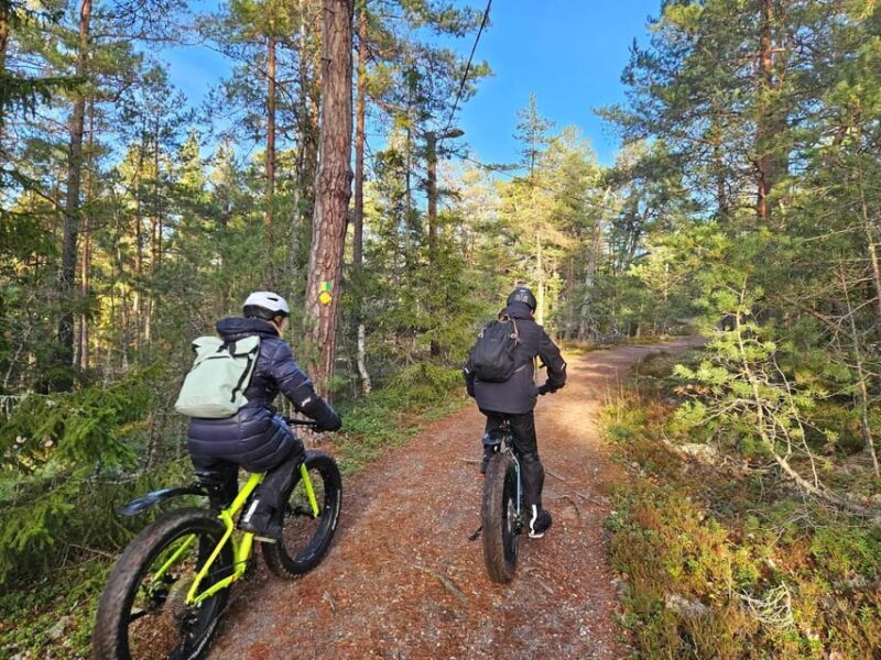 Stockholm: Fat Bike Forest Adventure with Lunch and Sauna - Summing It Up: Is This Tour Right for You?