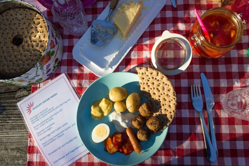 Stockholm: Guided Kayak City Tour & Optional Midsummer Meal - Who Will Love This Experience?