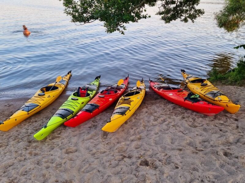 Stockholm: Guided Kayak Tour to Drottningholm Royal Palace - The Sum Up