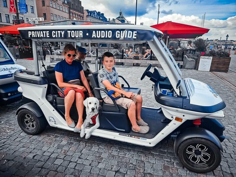 Stockholm Highlights by Golf Cart Tour - What You Will See and Do