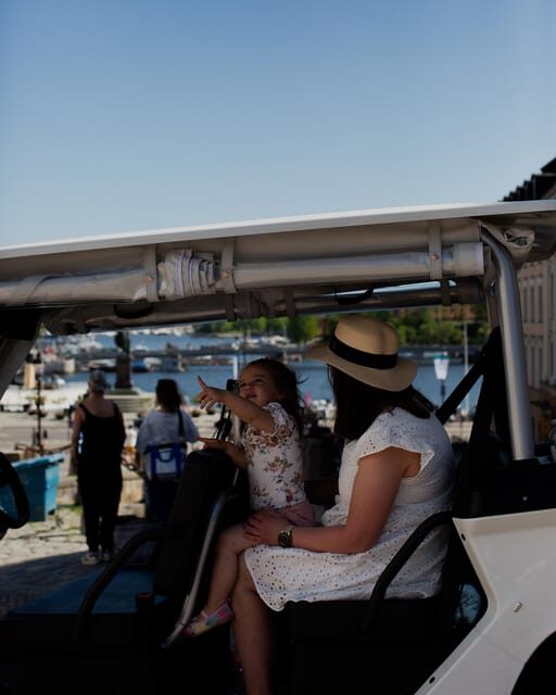 Stockholm Highlights by Golf Cart Tour - What the Reviews Say