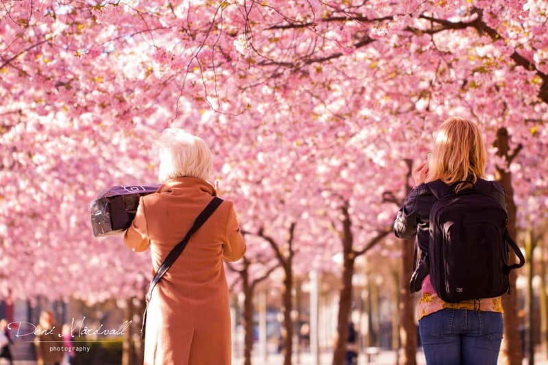 Stockholm: Highlights Guided Walking Tour - What to Expect from the Tour